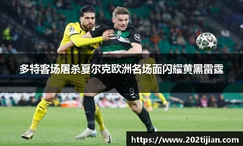 bsports必一体育