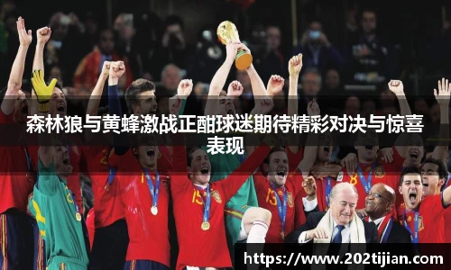森林狼与黄蜂激战正酣球迷期待精彩对决与惊喜表现